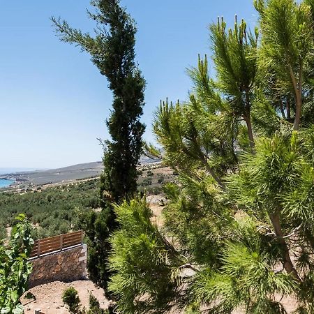 Villa Olvia Sfakiá Eksteriør billede